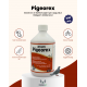 Royal İlaç Pigeorex Güvercin Ve Kafes Kuşlarında Hırıltı Ve Nefes Açıcı Tamamlayıcı Yem 500 ML