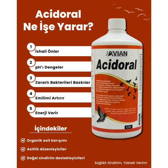 Acidoral 500 ml kanatlılar içim organik asit