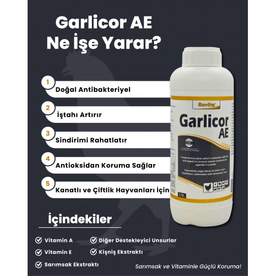 Garlicor Ae 1 Lt Sarımsak Özlü A Ve E Vitamin Desteği