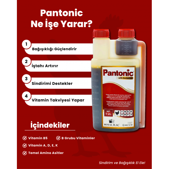 Royal Pantonic 5 Litre