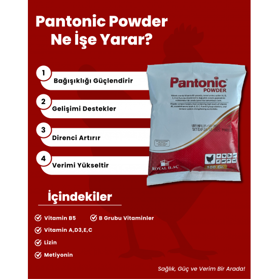 Royal Pantonic Powder Vitamin ve Aminoasit 100 G