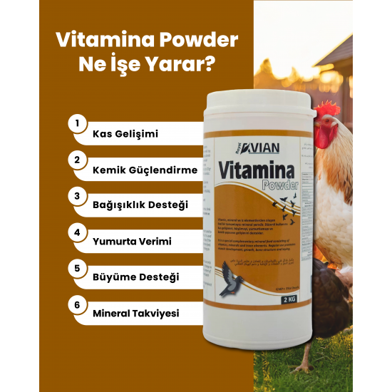 Royal İlaç Vitamina Powder 4 KG Vitamin ve Mineral Desteği Royal İlaç Vitamina Powder 4 KG Vitamin ve Mineral Desteği