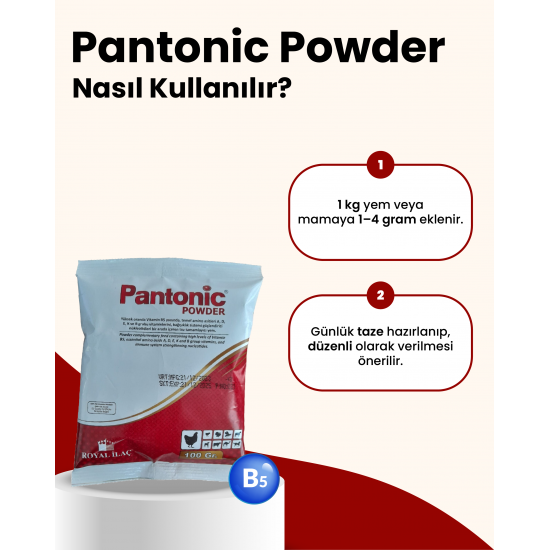 Royal Pantonic Powder Vitamin ve Aminoasit 100 G