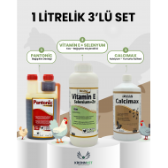 Üçlü Set Pantonic+Vitamin+Calcimax