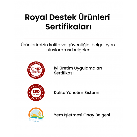 Royal Pantonic Powder Vitamin ve Aminoasit 100 G