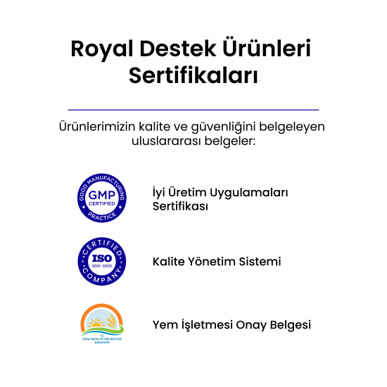 Royal Benzil %20 5 Litre Dezenfektan