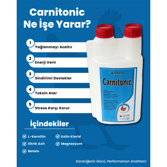Royalilaç Avian Carnitonic 1Lt Kanatlı Vitamin Royalilaç Avian Carnitonic 1Lt Kanatlı Vitamin