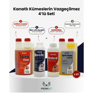 Kanatlı Kümeslerin Vazgeçilmezi 4 lü Set