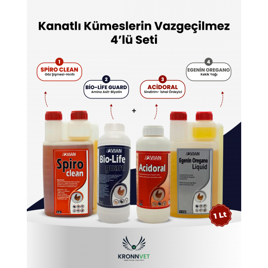 Kanatlı Kümeslerin Vazgeçilmezi 4 lü Set