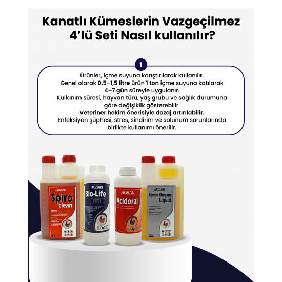 Kanatlı Kümeslerin Vazgeçilmezi 4 lü Set