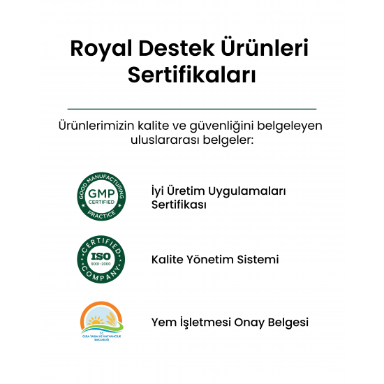 Royal İlaç Masselor 1 L Kanatlılarda Kilo Alımı Ve Kas Desteği Royal İlaç Masselor 1 L Kanatlılarda Kilo Alımı Ve Kas Desteği