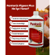 Royal İlaç Pantonic Pigeon Plus 500 ML Güvercin ve Kafes Kuşları Için Multivitamin Royal İlaç Pantonic Pigeon Plus 500 ML Güvercin ve Kafes Kuşları Için Multivitamin