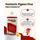 Royal İlaç Pantonic Pigeon Plus 500 ML Güvercin ve Kafes Kuşları Için Multivitamin Royal İlaç Pantonic Pigeon Plus 500 ML Güvercin ve Kafes Kuşları Için Multivitamin