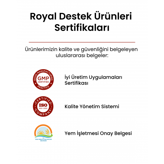 Royal İlaç Pantonic Pigeon Plus 500 ML Güvercin ve Kafes Kuşları Için Multivitamin Royal İlaç Pantonic Pigeon Plus 500 ML Güvercin ve Kafes Kuşları Için Multivitamin