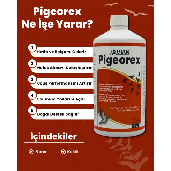 Pigeorex 125ml Tüm Kuşlarda Hırıltı Balgam Söktürücü