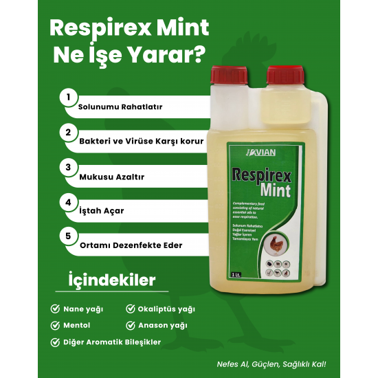 Respirex Mİnt 5 lt nefes açıcı ürün