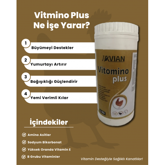 Vitomino Plus Yoğun Vitamin Desteği 1 Kg