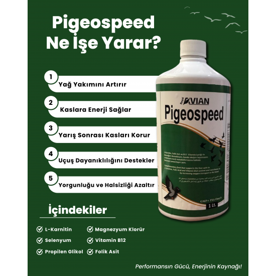 Royal İlaç Pigeospeed 100 ML Güvercinlerde Uçum Hızı Desteği