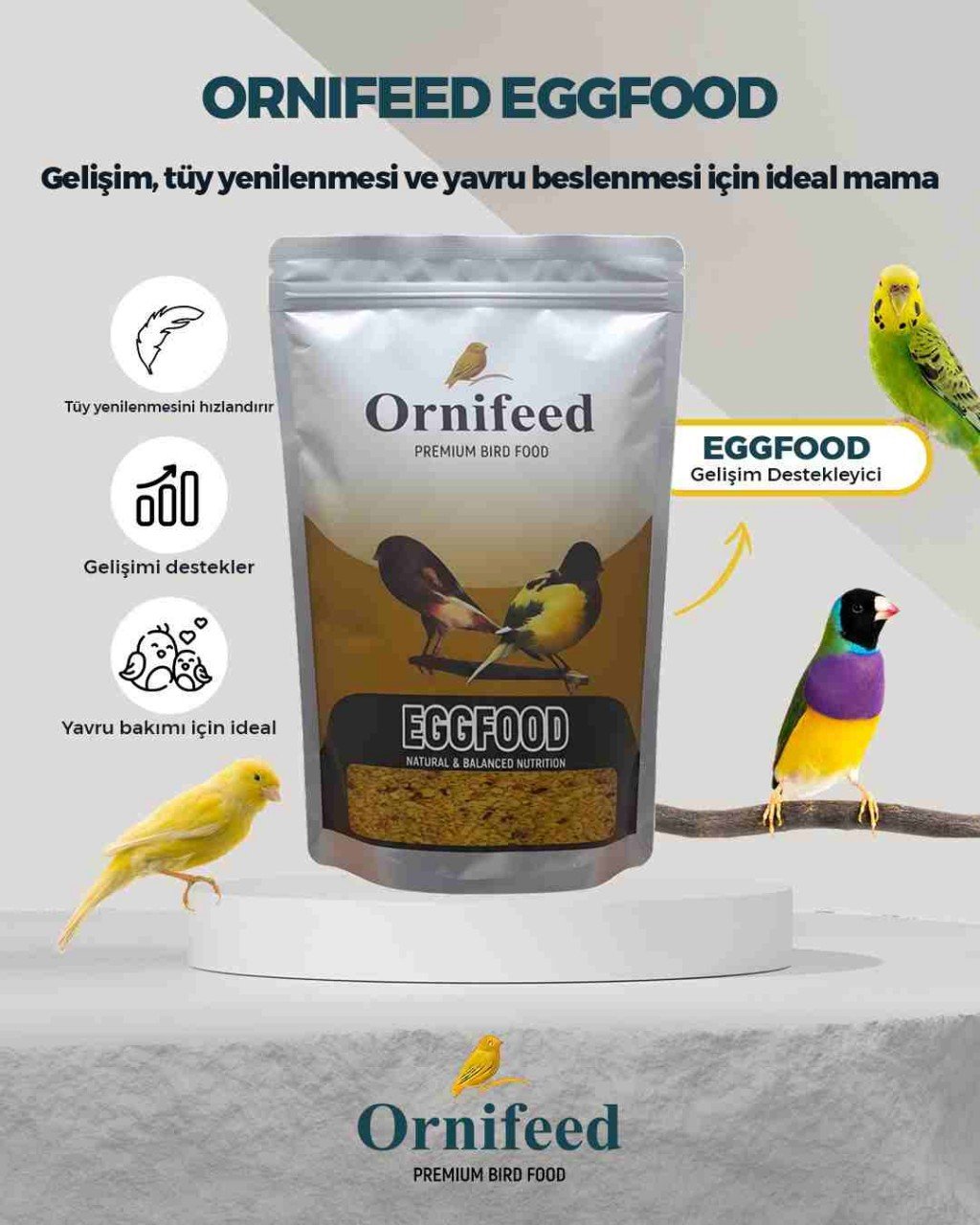Ornifeed Eggfood Profesyonel Kanarya Yumurta Maması 1 kg