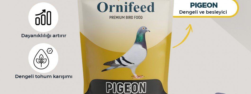 Güvercin Maması Nedir? Ornifeed Pigeon Ne İşe Yarar? (Performans ve Gelişim Rehberi)