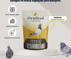 Güvercin Maması Nedir? Ornifeed Pigeon Ne İşe Yarar? (Performans ve Gelişim Rehberi)