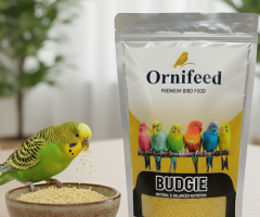 Muhabbet Kuşu Maması Nedir? Ornifeed Budgie Ne İşe Yarar?